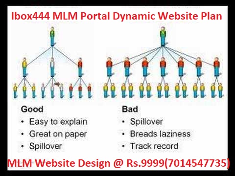 Multi-level_marketing_portal-development-jaipur-ibox444.jpg